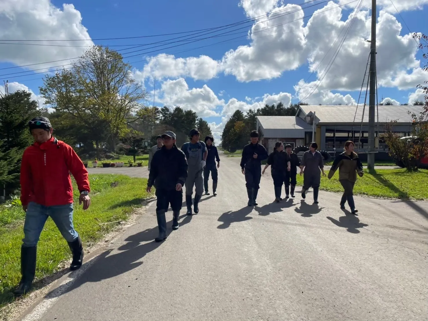 牛たちのお世話に励むスタッフを紹介