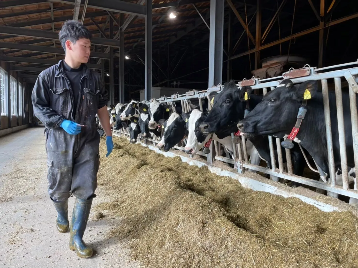 株式会社大地の雫