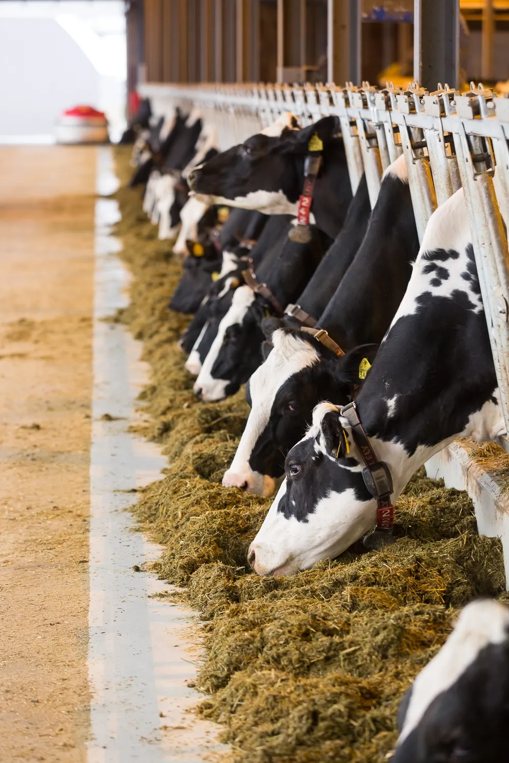 株式会社大地の雫