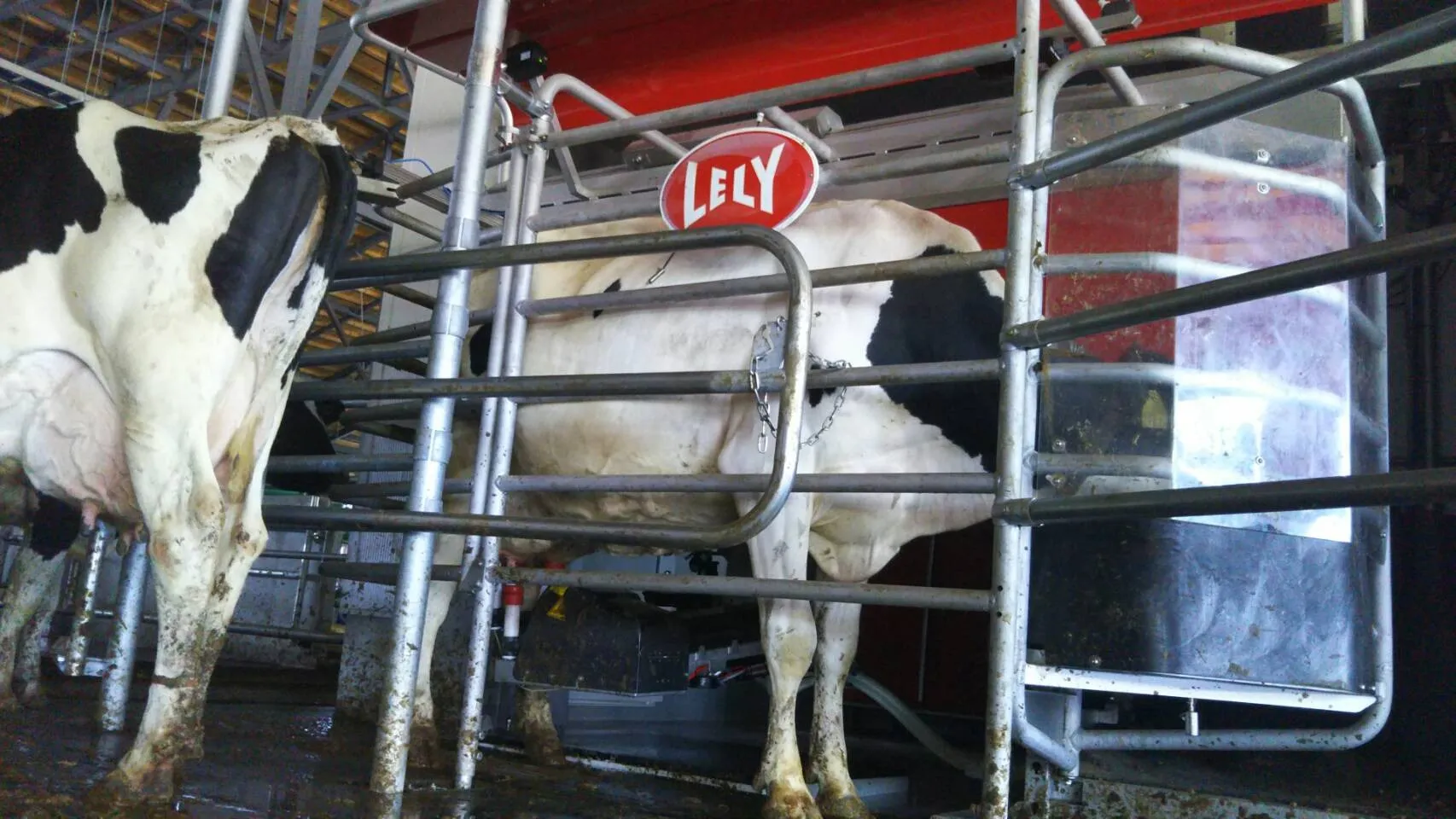 株式会社大地の雫