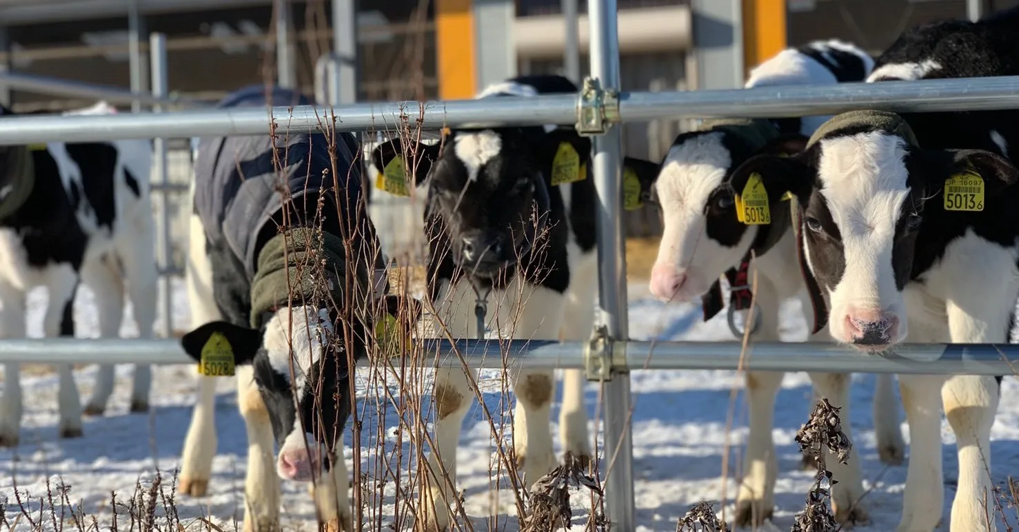 株式会社大地の雫