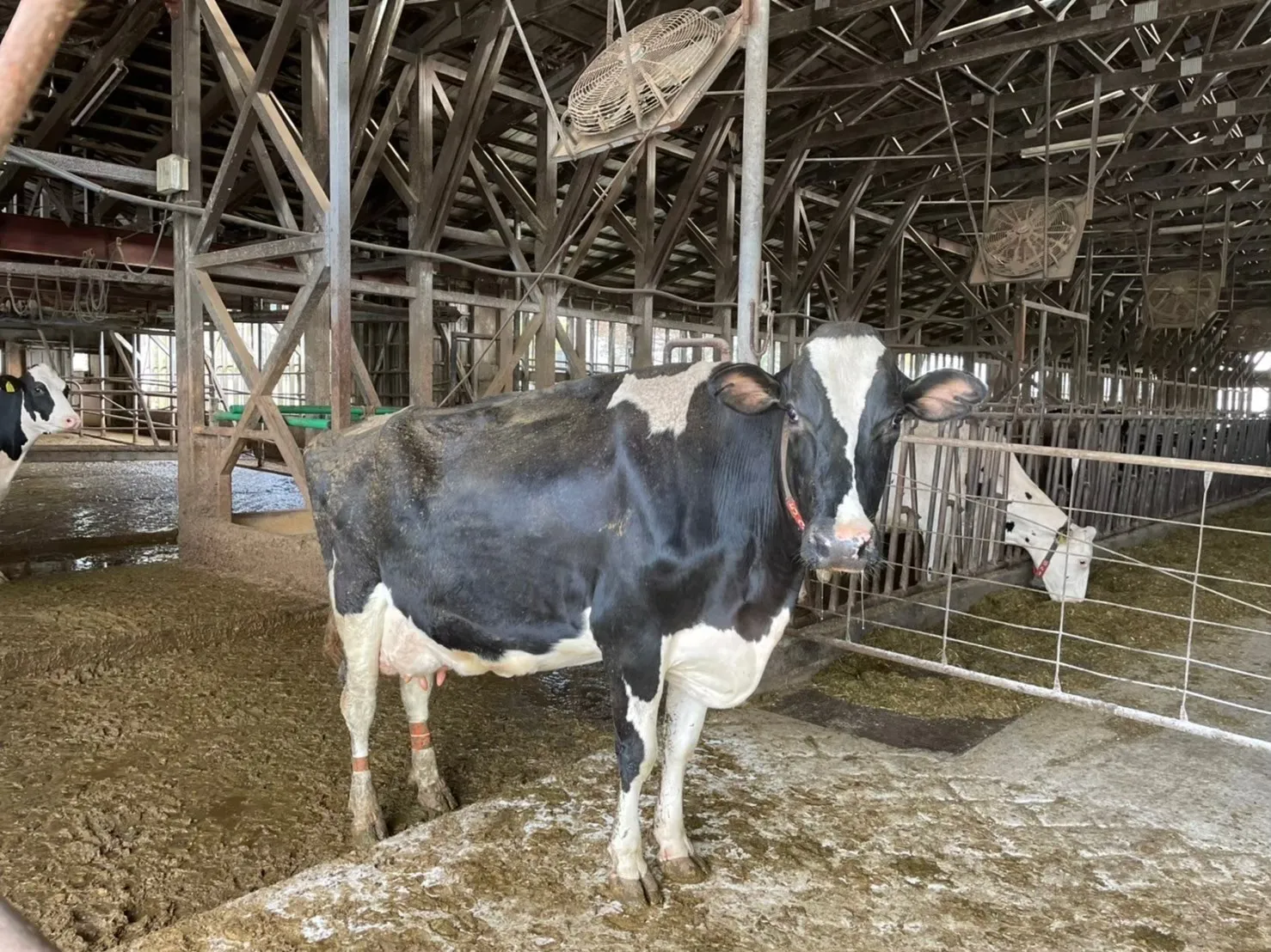 よくいただく質問への回答を掲載